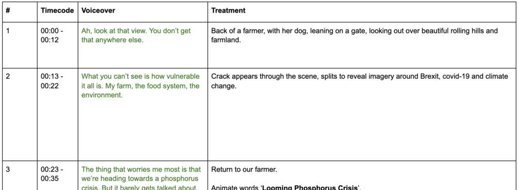 Screenshot of animation treatment document