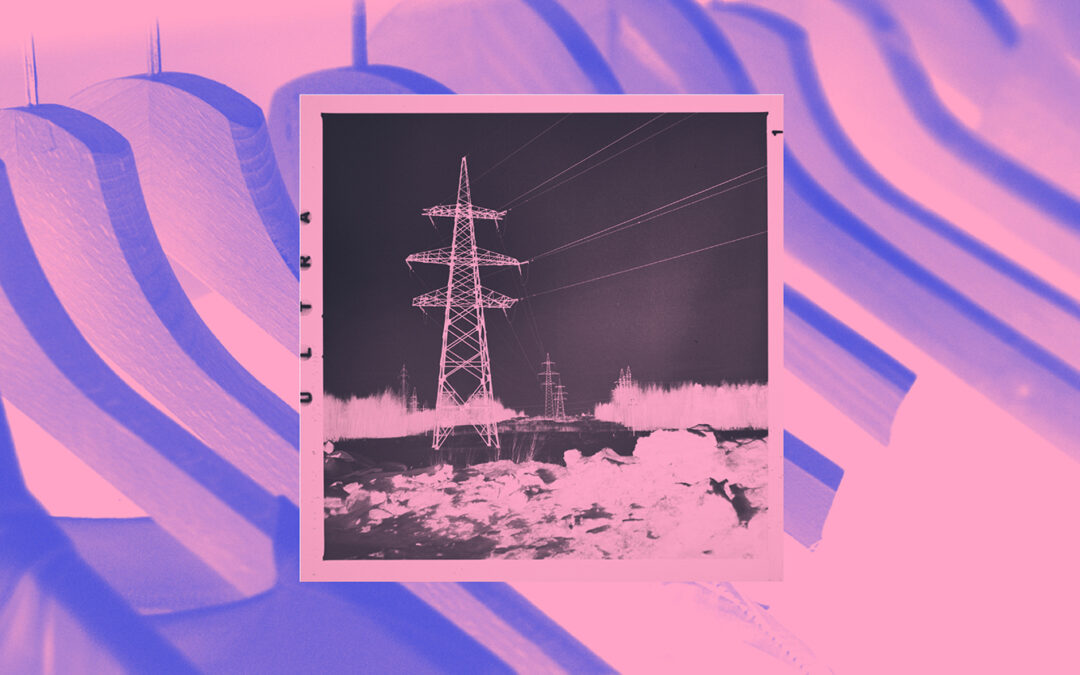 10 Organisations Helping Us on the Journey to Net Zero