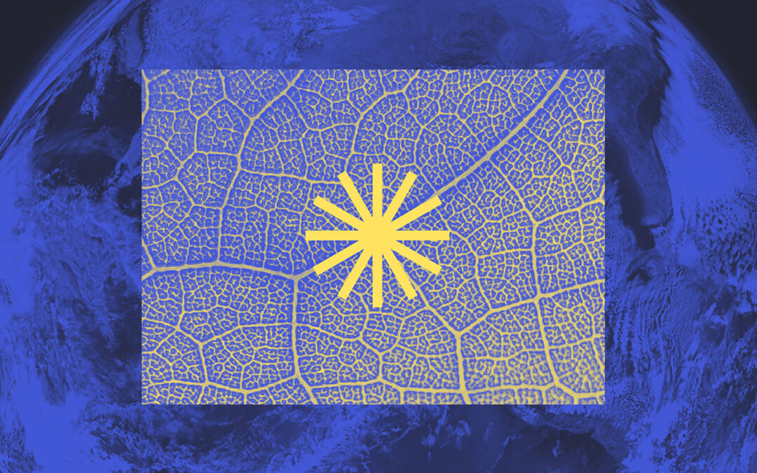 Restoring Our Planet: The Rise of the Regenerative Business