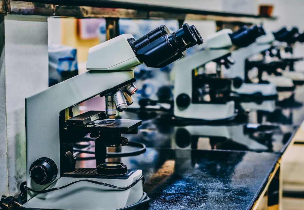 Photograph of a row of a microscopes in a lab